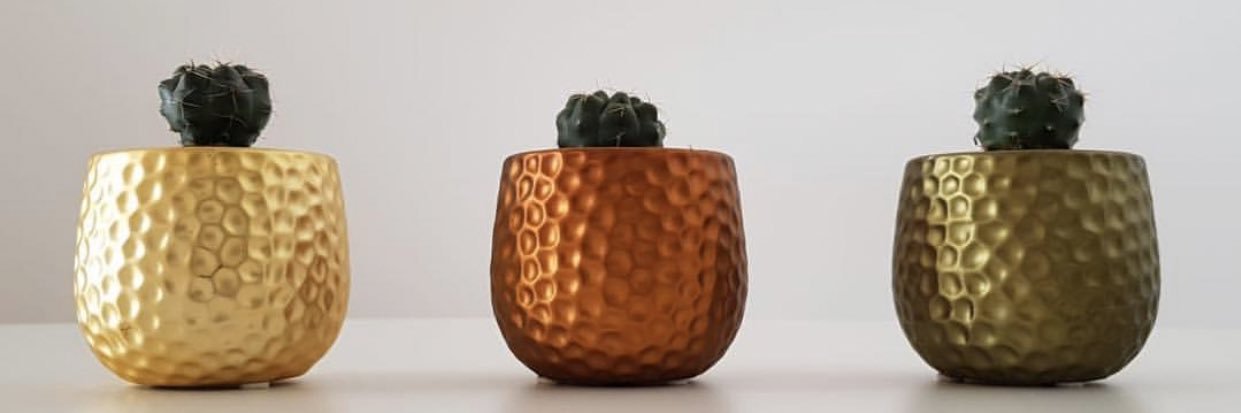 Premis Cactus banner