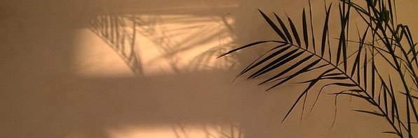 trbladri's profile banner image