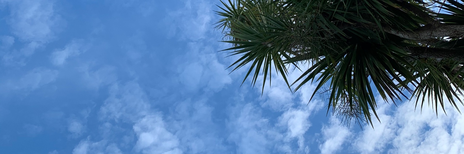 PearJuiceee's profile banner image