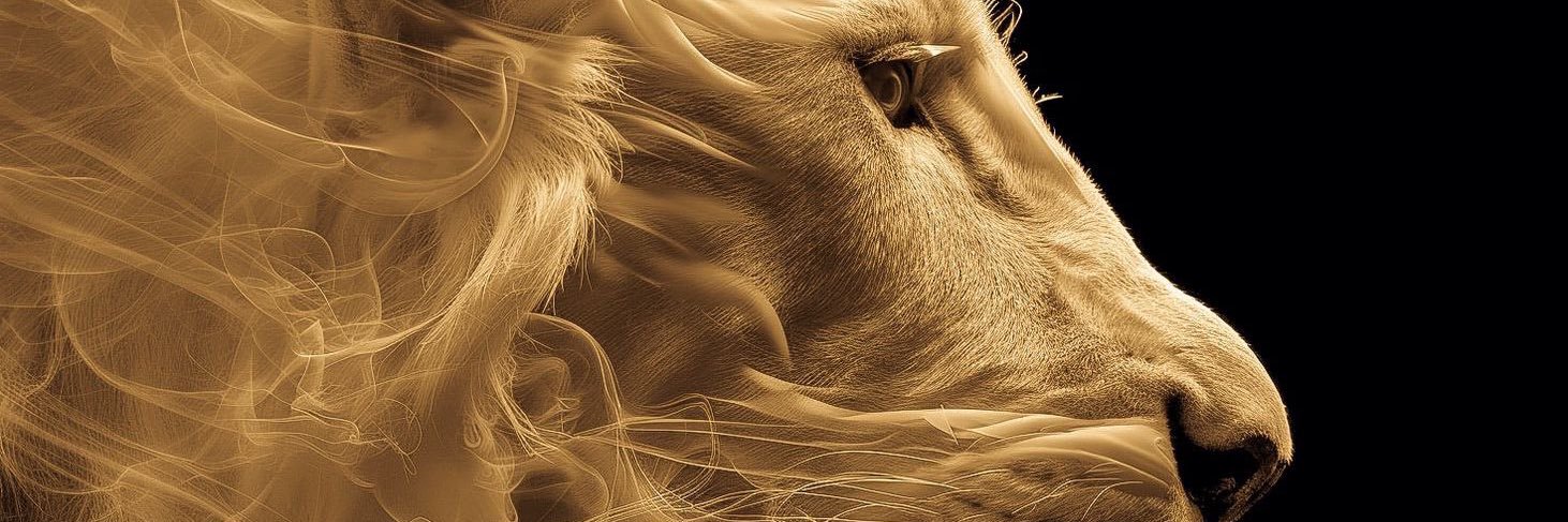 tengyj's profile banner image