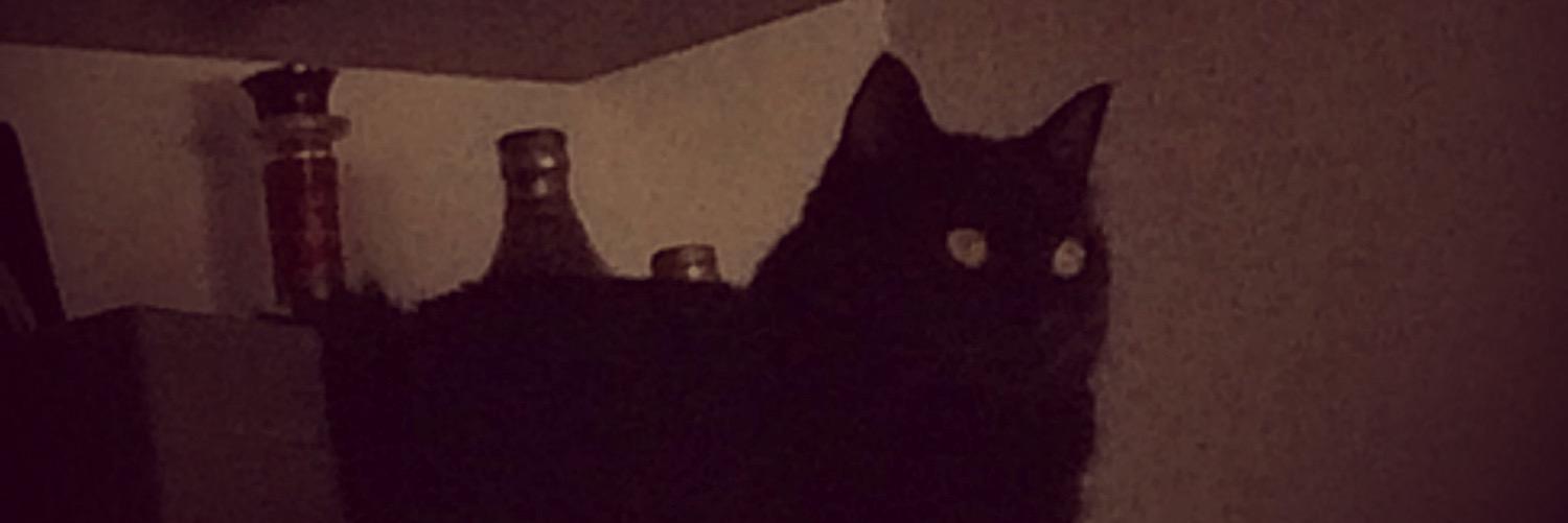 AqAndamos's profile banner image