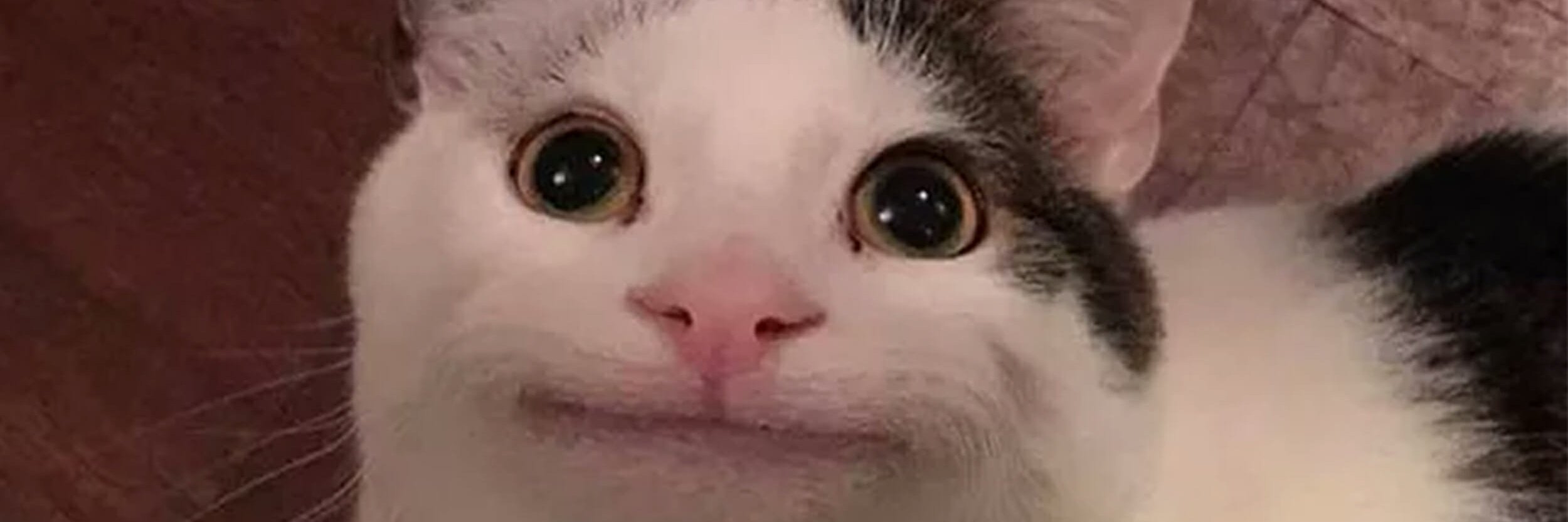 Forgyn's profile banner image