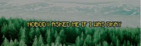 taissarpghawaii's profile banner image