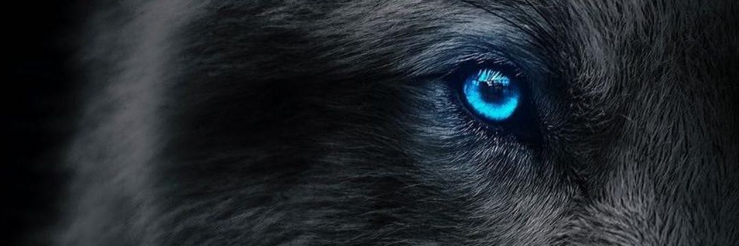 Divo_74's profile banner image