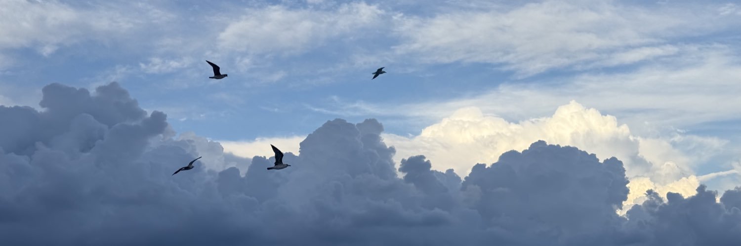 salvabalboa1's profile banner image
