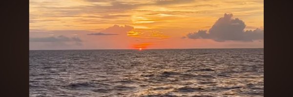 levifds Profile Banner