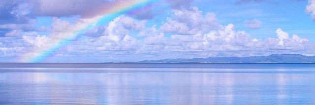 mlogaki's profile banner image