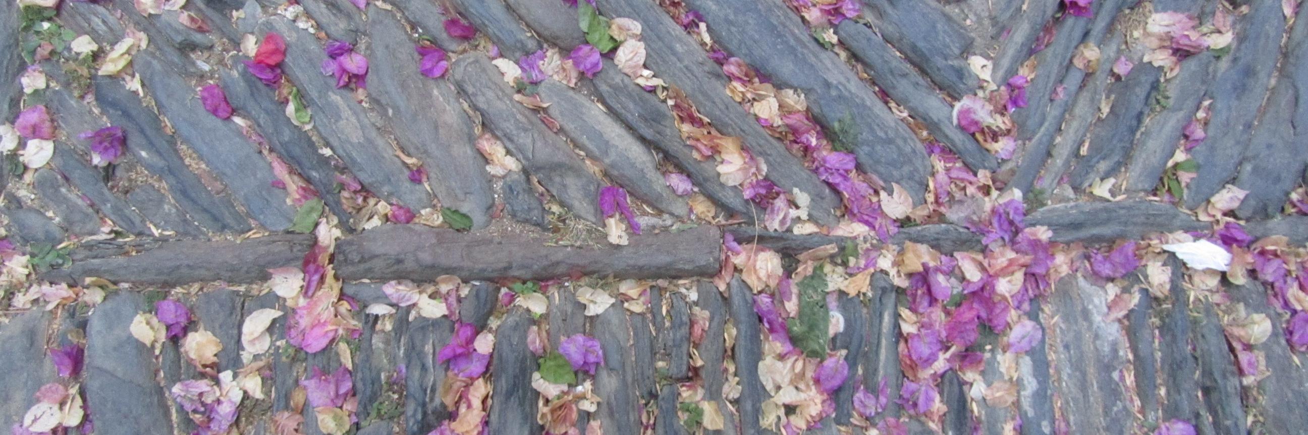 Céline Beaulaton banner