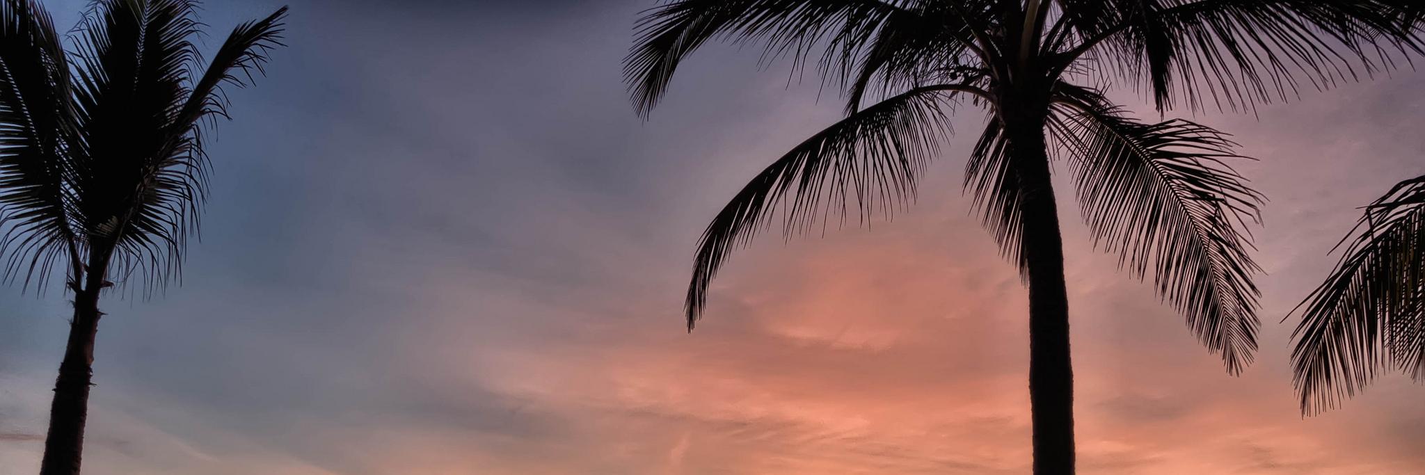 beaches714's profile banner image