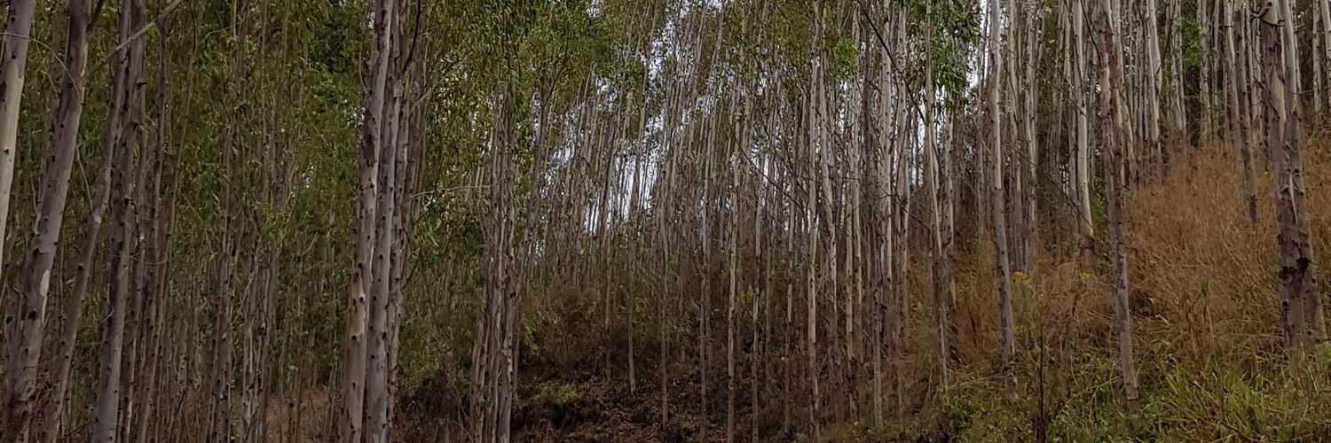 OttoOttobecker's profile banner image