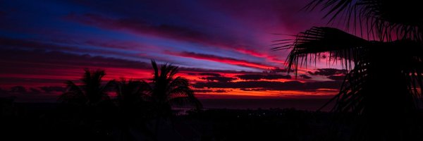 Vidguy Profile Banner