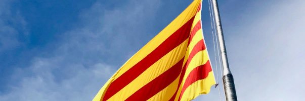 Adjutori Pons banner