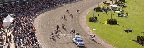 Thor Erling Austad banner