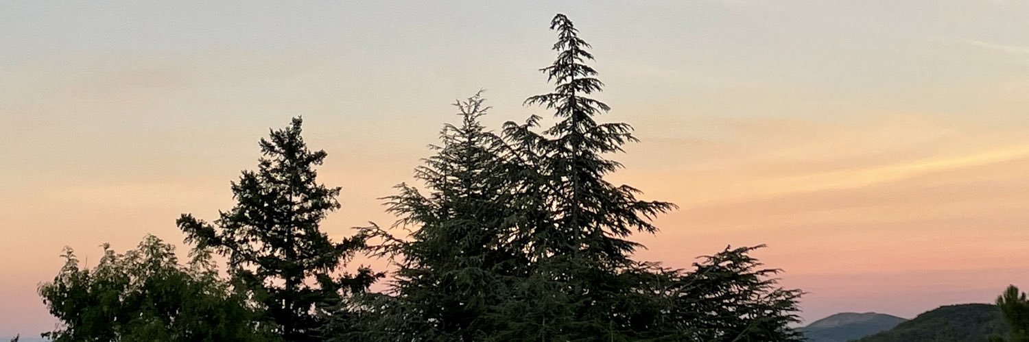 annaflextour's profile banner image