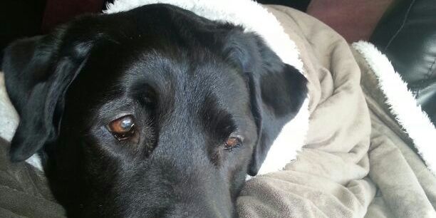 Japm12Jose's profile banner image