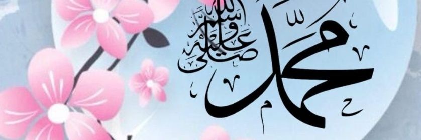 nasreenaqadir's profile banner image