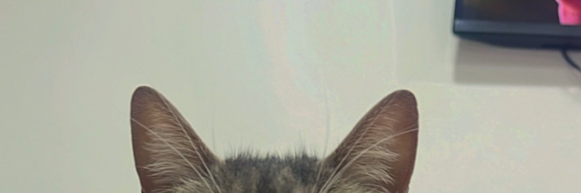 LauraCami_10's profile banner image