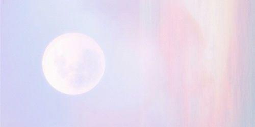 piperpjgdr_'s profile banner image