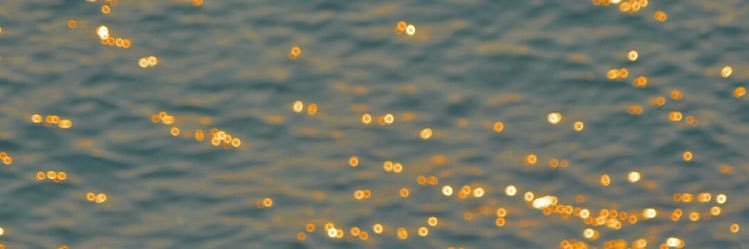 slnbulutt's profile banner image