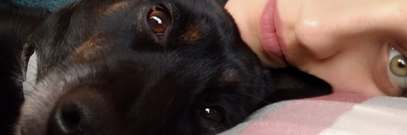 DeniLobeiras's profile banner image
