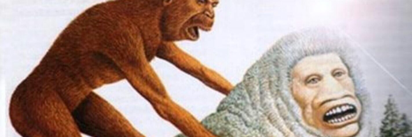 mariothebro's profile banner image