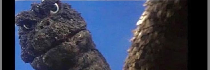 valzish's profile banner image
