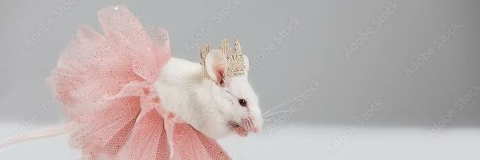 submeta-se ao bisturi das ilusões banner