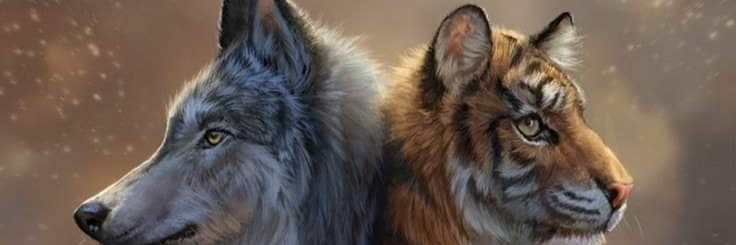 MaschioItaliano's profile banner image
