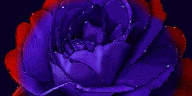 HassaneTelly's profile banner image