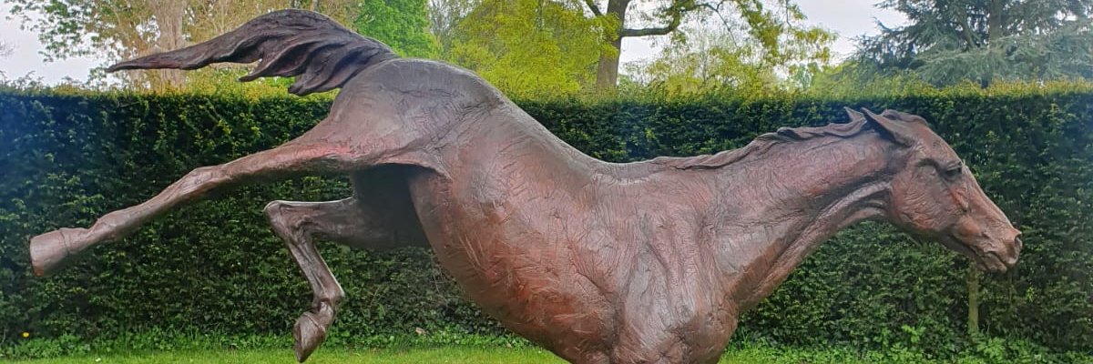 denisejdutton's profile banner image