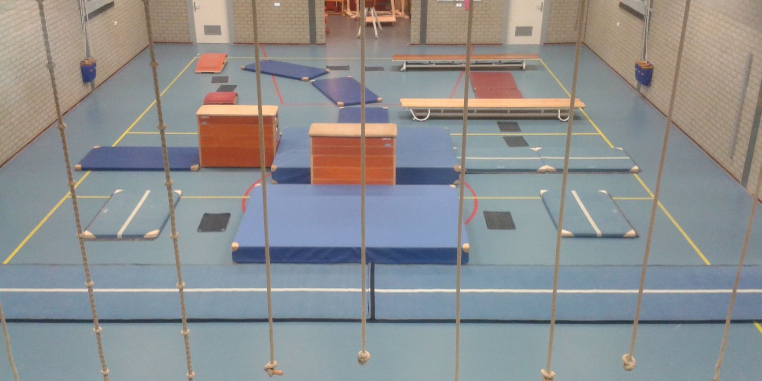 Bastiaan Goedhart banner