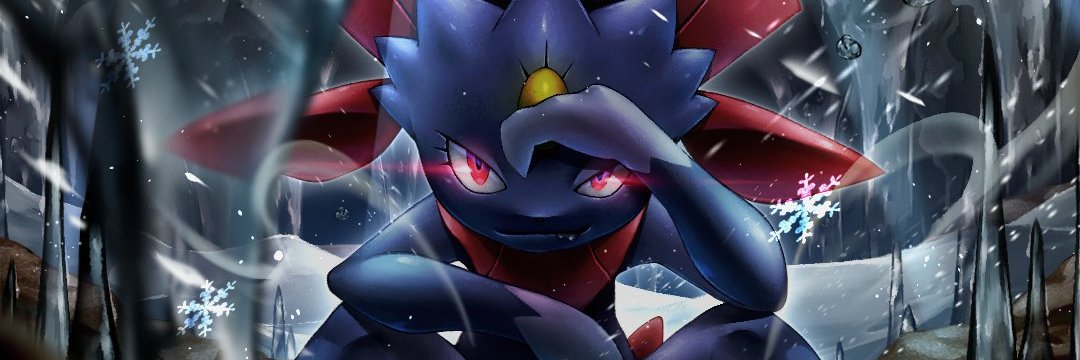 SprinklePPs's profile banner image
