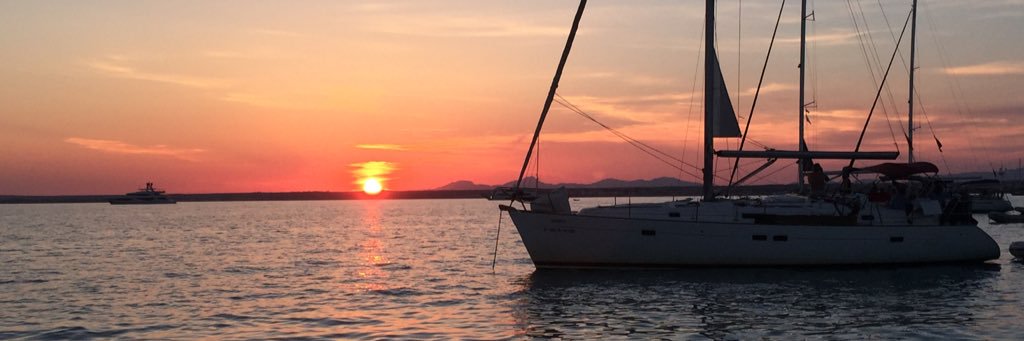 Prof Chris Hollis banner