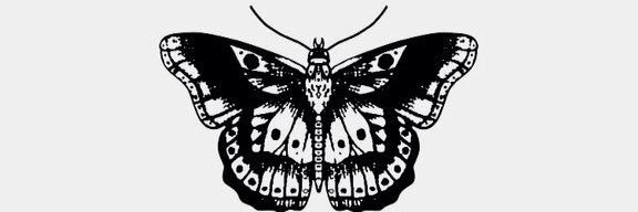 _narryscupcake_'s profile banner image