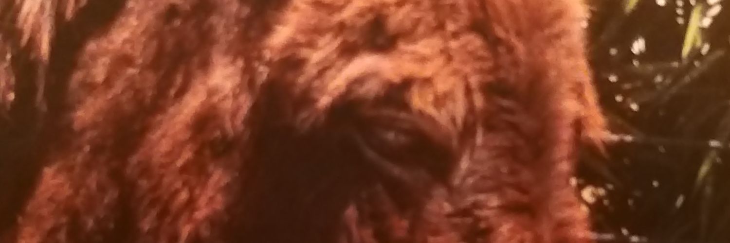 Alex.Kat. banner