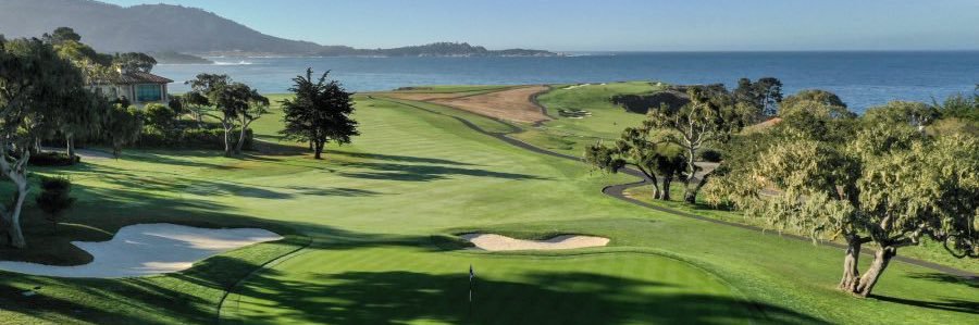 Nick Hamilton banner