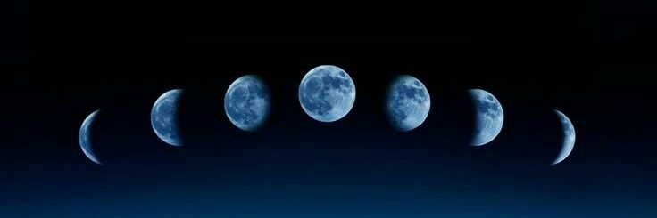 arlenej116's profile banner image