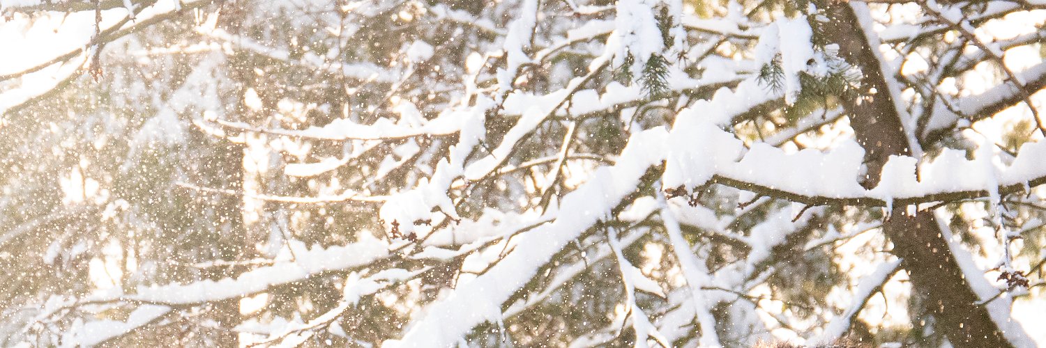 littlecoffeefox's profile banner image