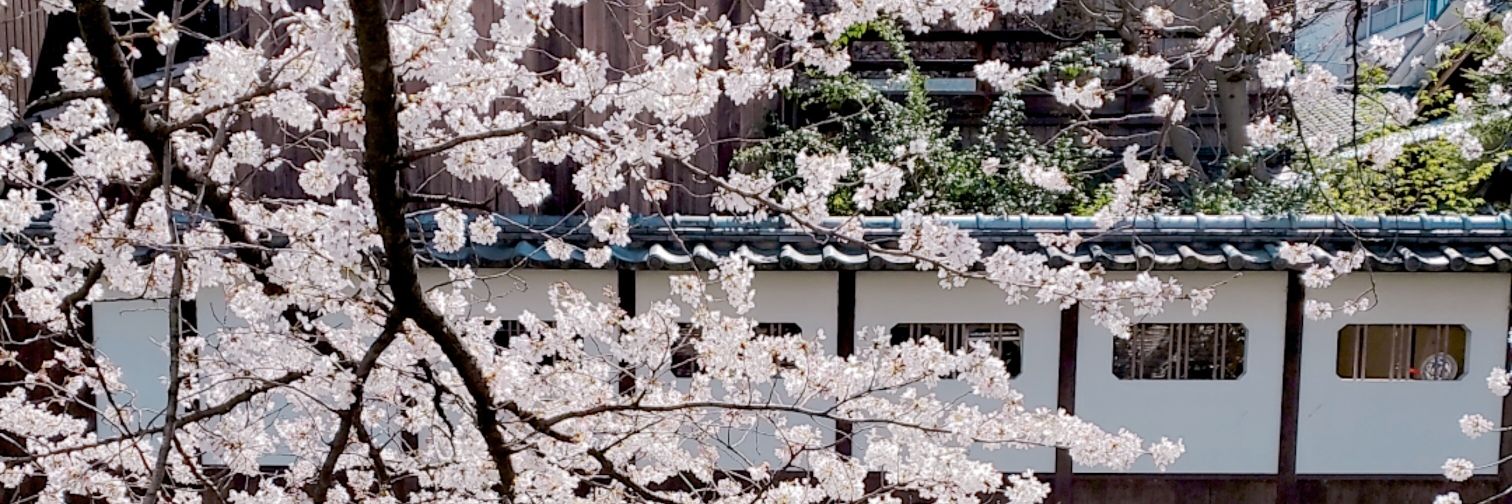 あさみ banner