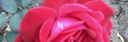 HadaDeepika's profile banner image