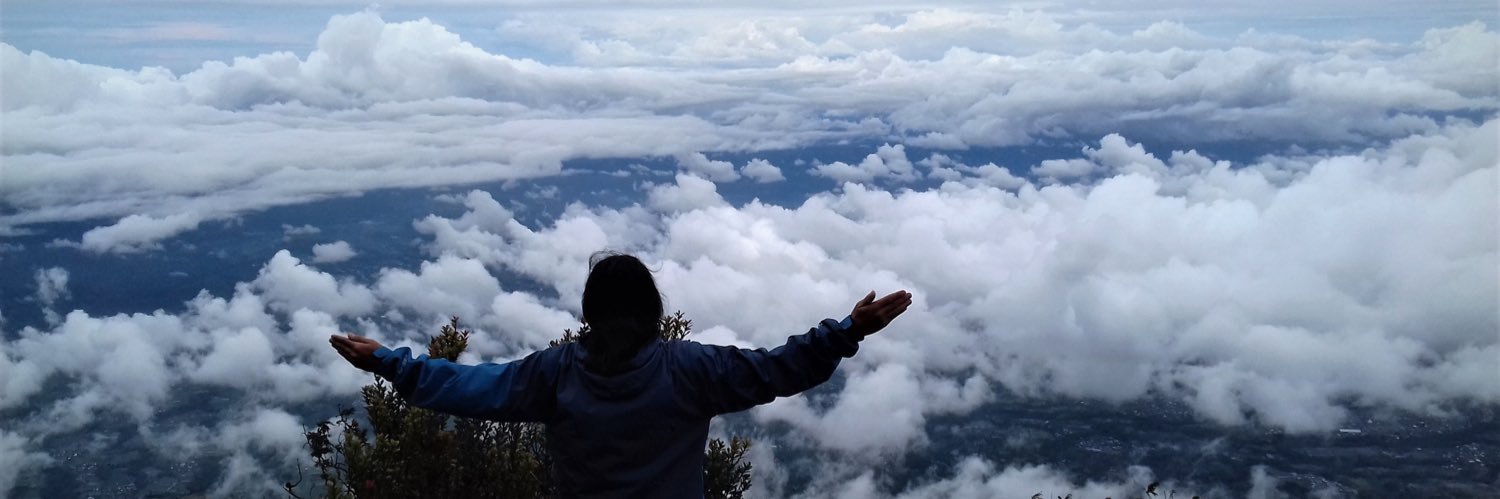 masxem's profile banner image