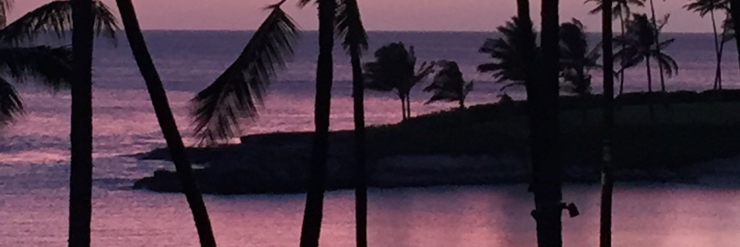 robinlhee's profile banner image
