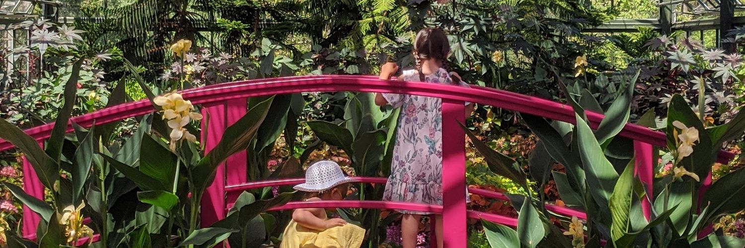 Natalie Rozanec banner