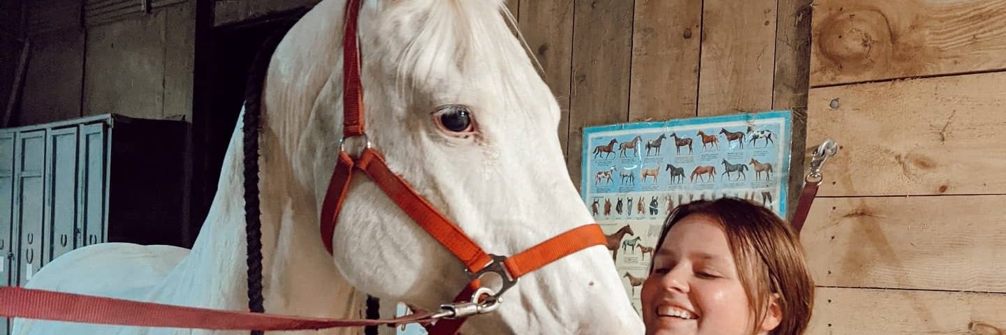 TaylorNobs's profile banner image
