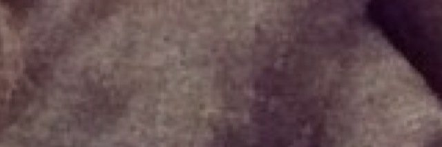 neela banner