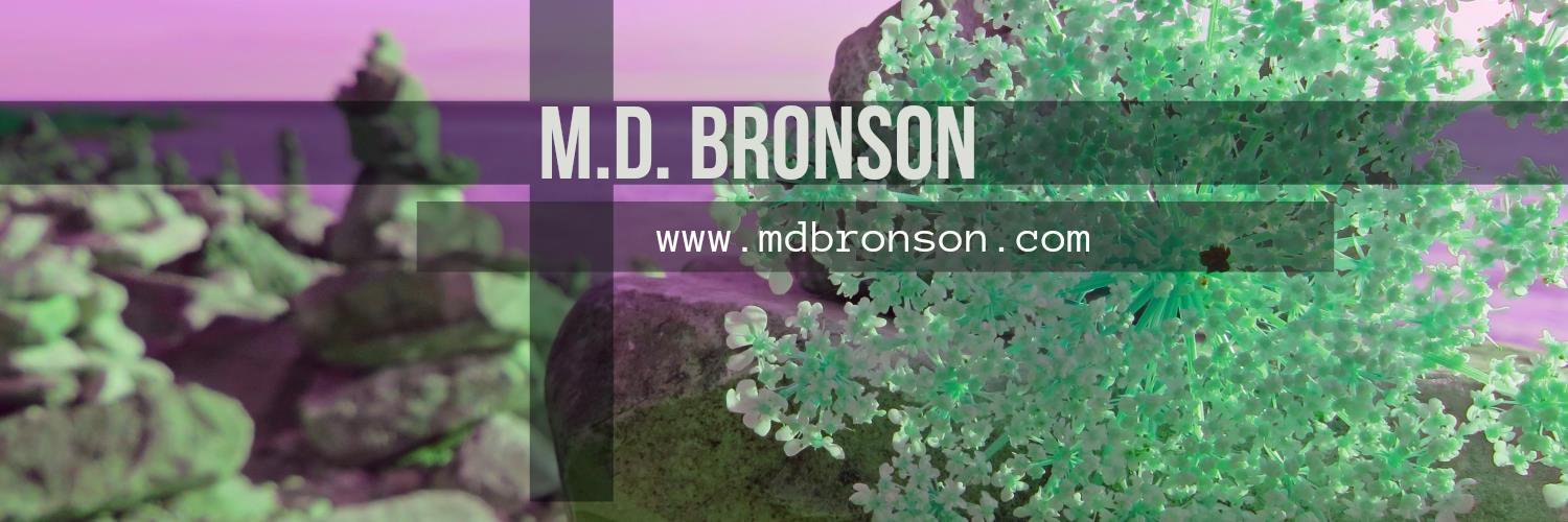 MDBronson's profile banner image