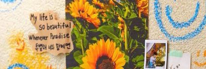 AnityasL's profile banner image