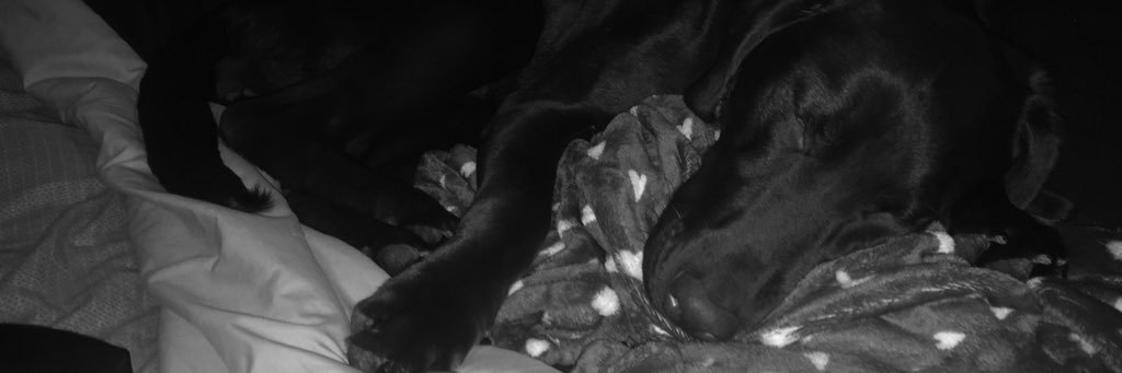 jadynnnn_'s profile banner image