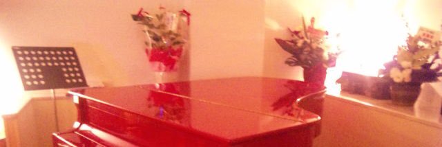 rupibota's profile banner image
