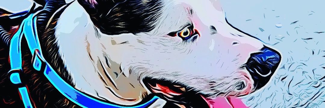 Braian_Encinas's profile banner image